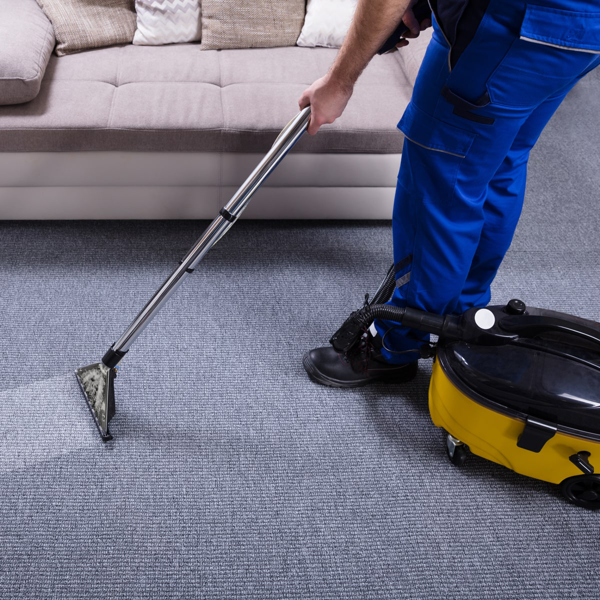 Commercial Cleaning Services in Forest Hill